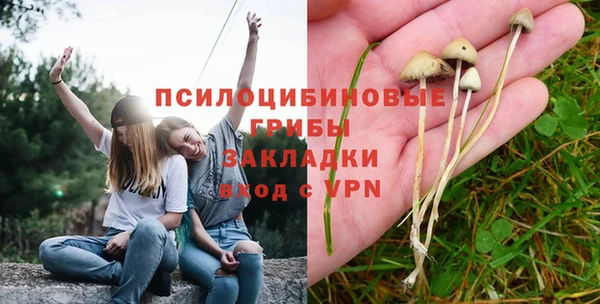 дурь Верхний Тагил